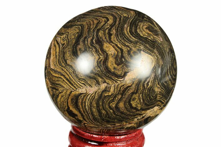 Polished Stromatolite (Greysonia) Sphere - Bolivia #191090